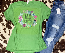 Load image into Gallery viewer, BLOOM where you&#39;re planted graphic tee
