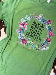 BLOOM where you're planted graphic tee